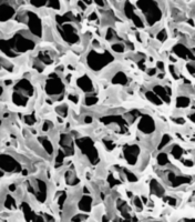 GVHP00010美國(guó)密理博Millipore 0.22um(PVDF)表面濾膜