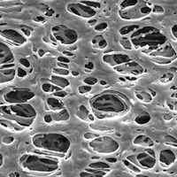 GPWP09050 Millipore Express親水性PES 0.22um,90mm表面濾膜