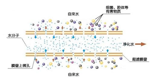 超濾原理圖 UF超濾原理圖