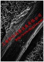 美國(guó)Merck Millipore RW預(yù)過(guò)濾膜 美國(guó)Merck Millipore RW預(yù)過(guò)濾膜