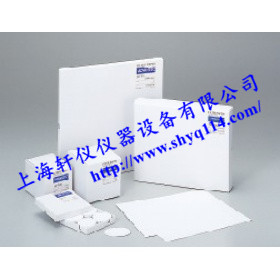 日本GD-120 Advantec玻璃纖維濾紙